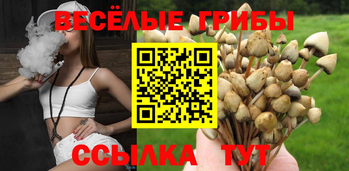 Галлюциногенные грибы Psilocybe Чебаркуль