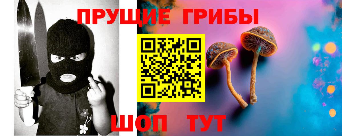 Галлюциногенные грибы MAGIC MUSHROOMS  Вход с VPN  Чебаркуль 